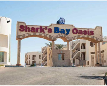 sharks bay oasis